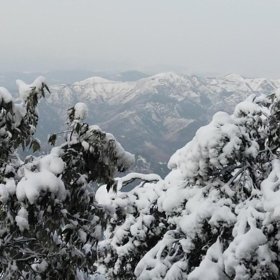 Dhanlaxmi Apartments Shimla Eksteriør bilde