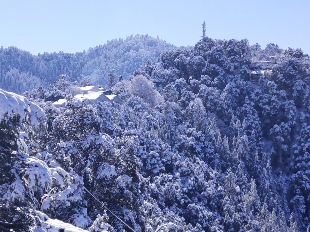 Dhanlaxmi Apartments Shimla Eksteriør bilde